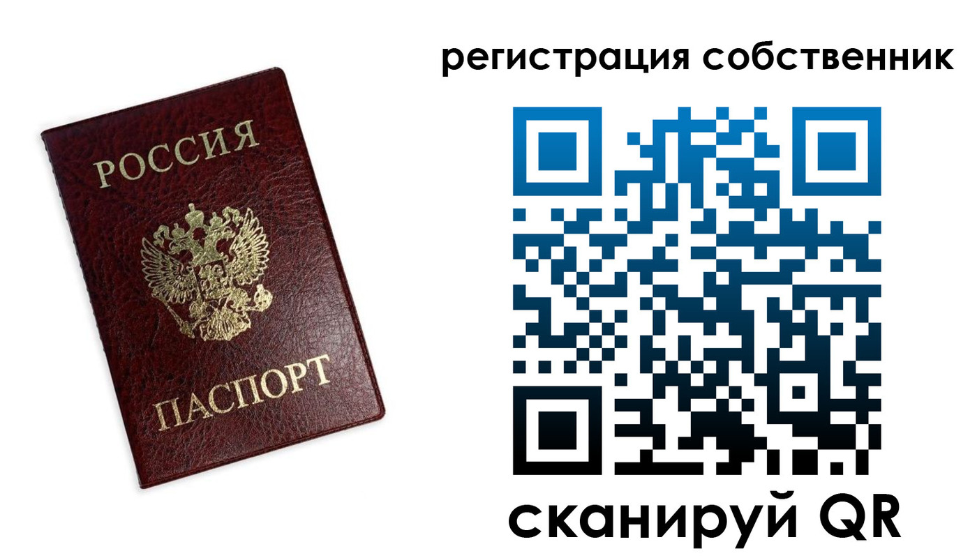 временная регистрация для школы в Александровске